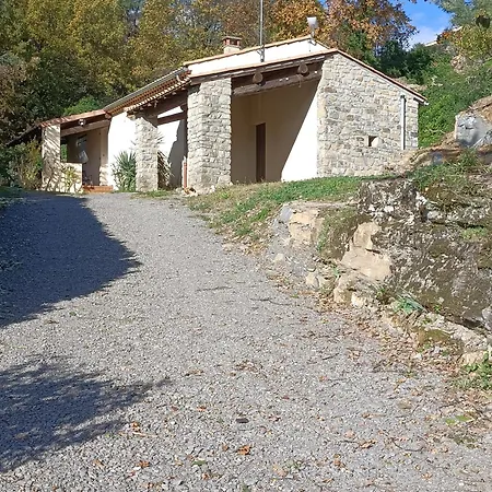Gite Au Pied Du Grand Cedre Vesseaux Buitenkant foto