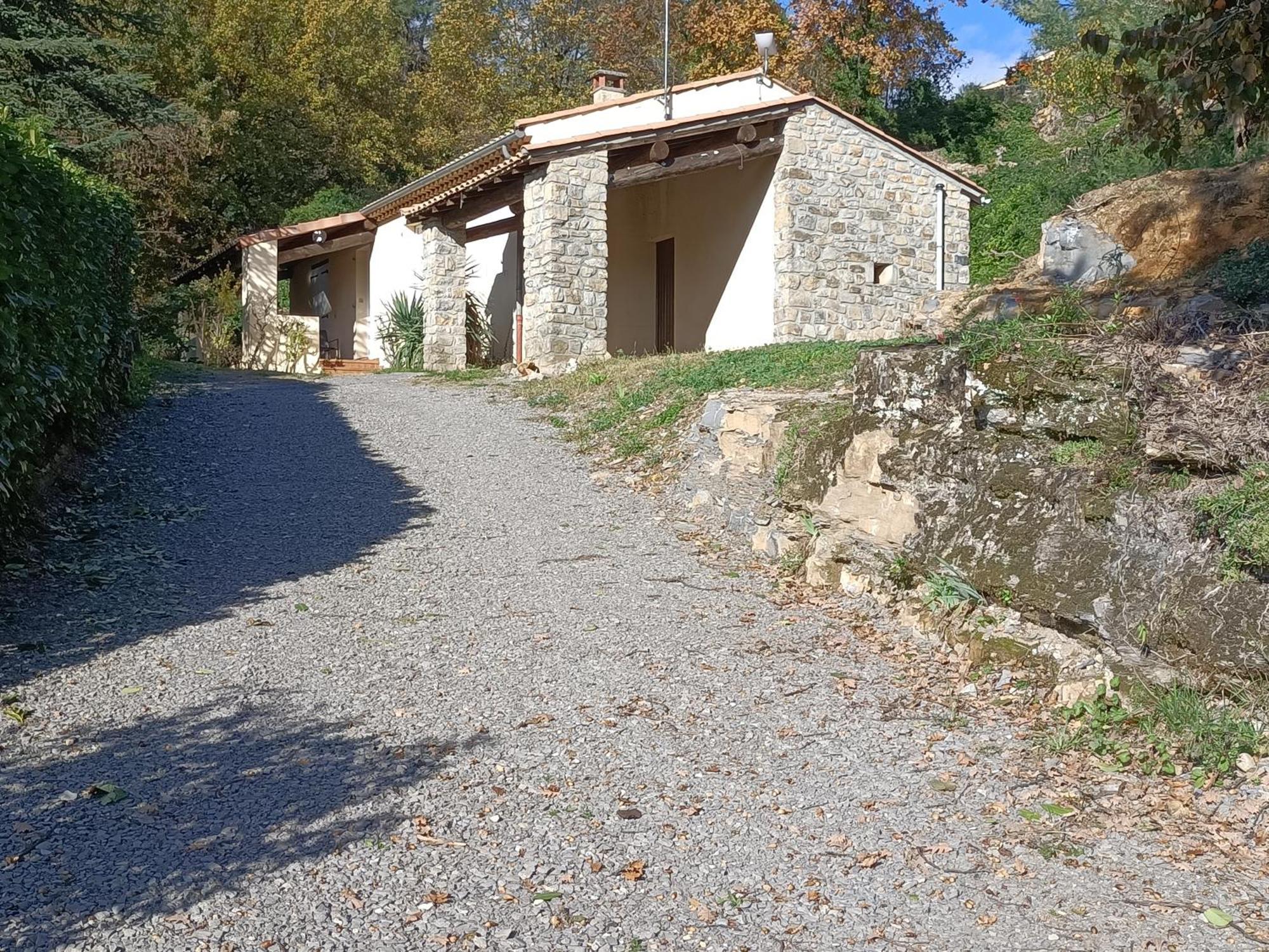Au Pied Du Grand Cedre * Vesseaux